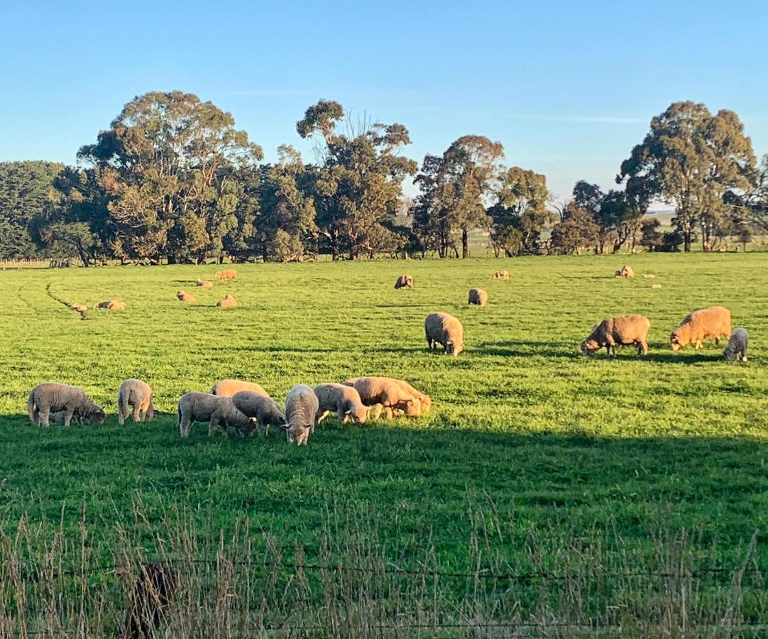 The Lancefield Lodge Lance Field Exteriör bild